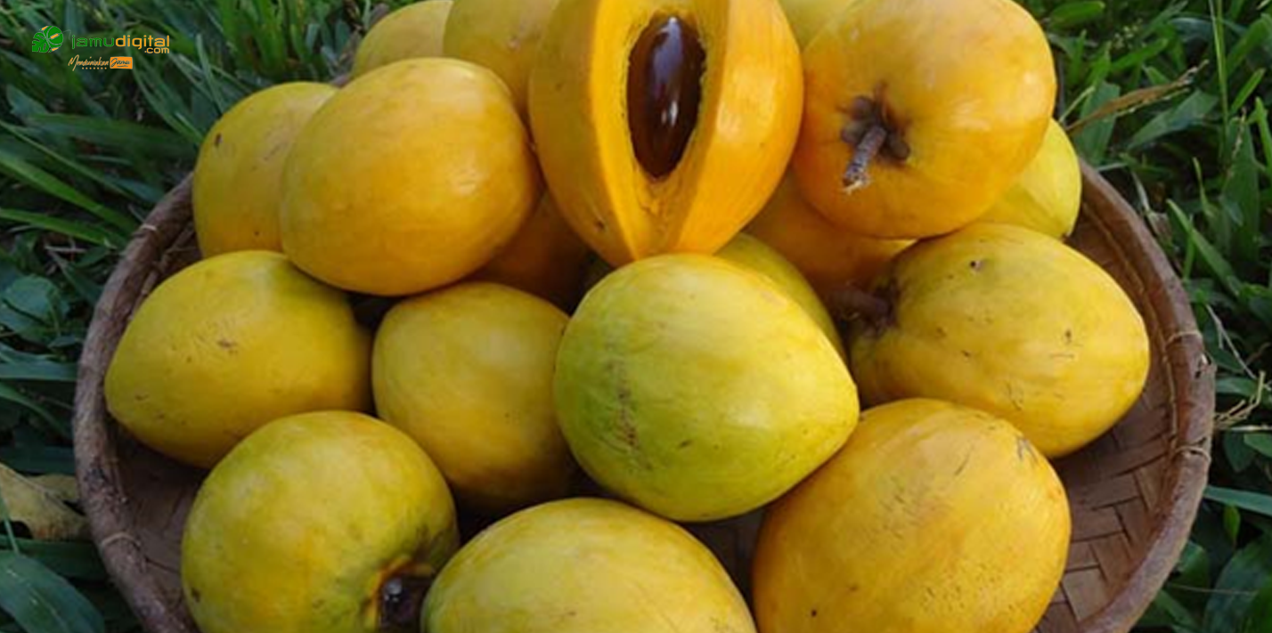 Manfaat Buah Alkesa, Baik Untuk Menjaga Kesehatan Mata